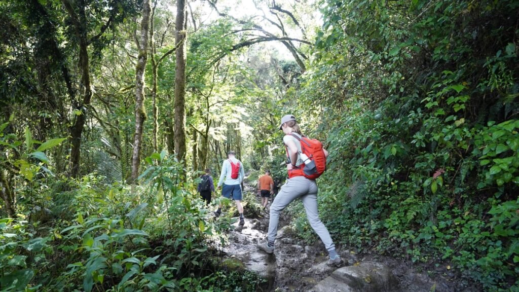 Jungle Trek, Multiday hike near Medellin